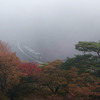 秋の朝もやの中鉄橋を渡る水郡線