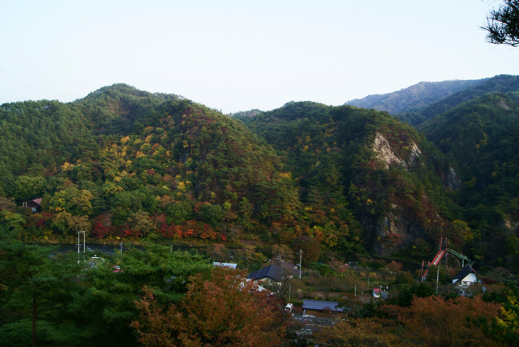 西日さす紅葉の桧山