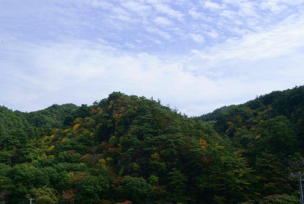 黄葉の桧山と鱗雲の秋空