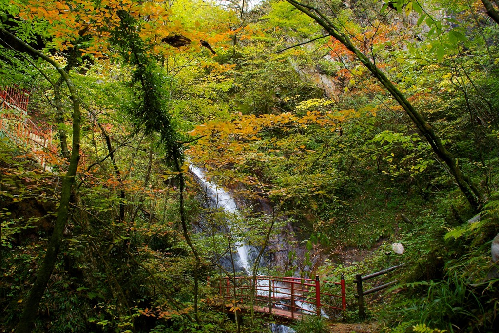 秋の夢想滝