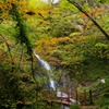 秋の夢想滝