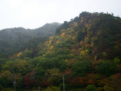 雨にぬれる秋の桧山