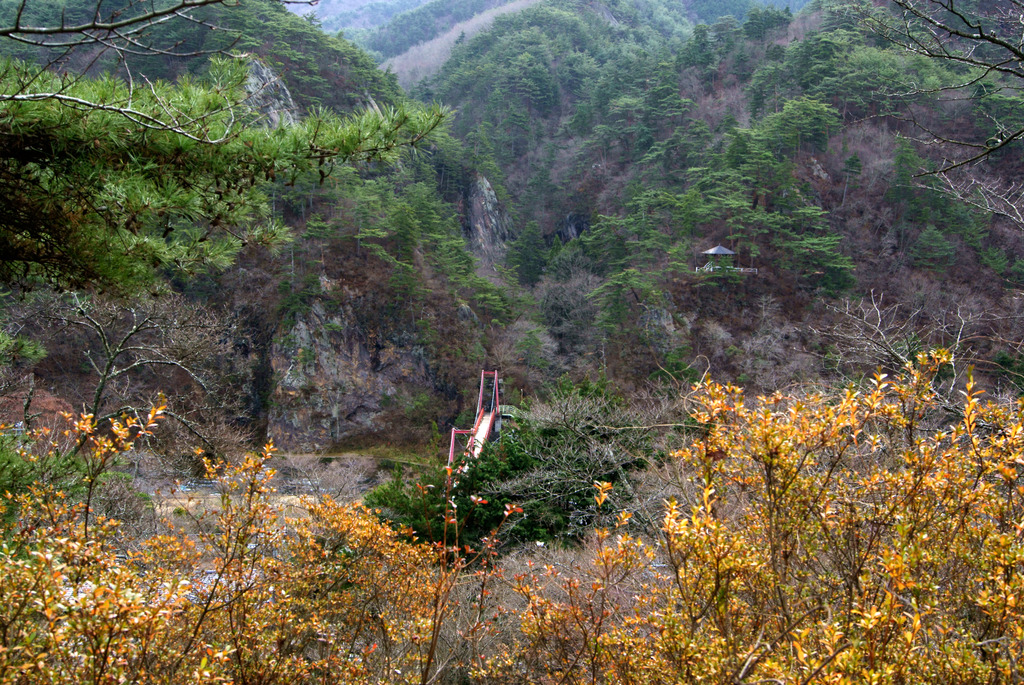 つつじの紅葉とあゆのつり橋・剣ケ峰