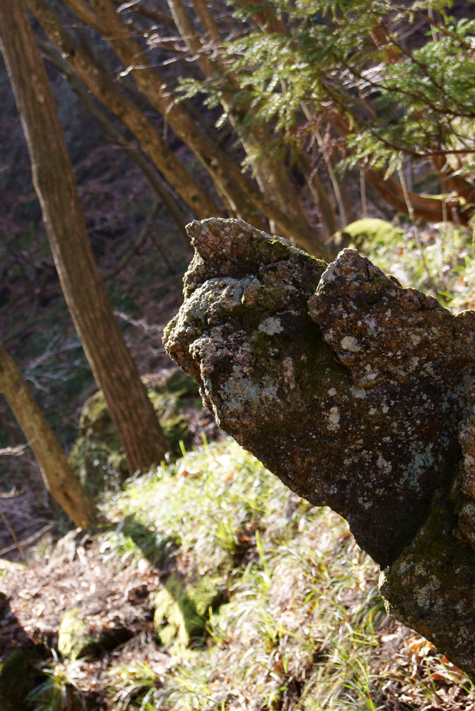 ゴリラ岩