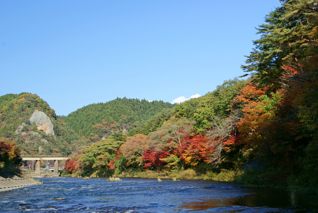 久慈川沿いの紅葉と大だるま岩