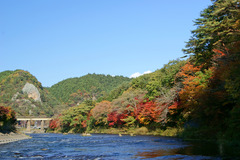 久慈川沿いの紅葉と大だるま岩