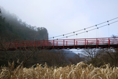 ススキ野原とあゆのつり橋、霧の乙女ヶ越