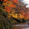 奥久慈渓谷、高地原の紅葉