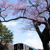 桜と水郡線