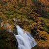 紅葉に包まれる下滝