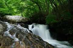 初夏の青葉の滝