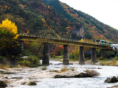 鉄橋を渡る水郡線と紅葉の乙女ヶ越