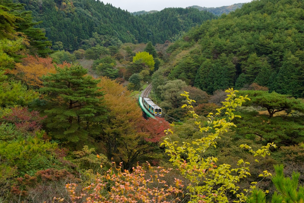 秋の矢祭山を走る水郡線