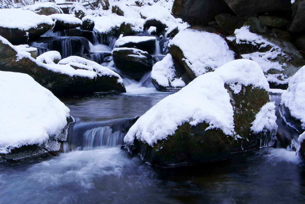 雪の庭園