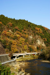 晩秋の藤衣岩と久慈川の流れ
