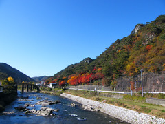 夢想橋から見た矢祭山の紅葉