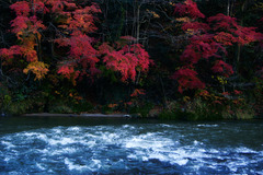 久慈川の流れと紅葉