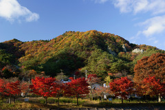 紅葉燃える矢祭山