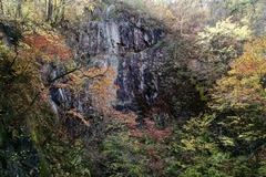 夢想滝そばの岩壁の紅葉