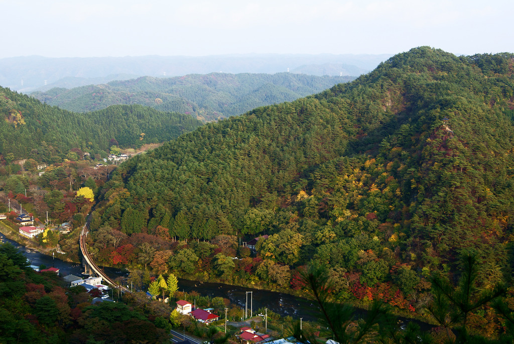 西日さす秋の桧山〜夢想苑
