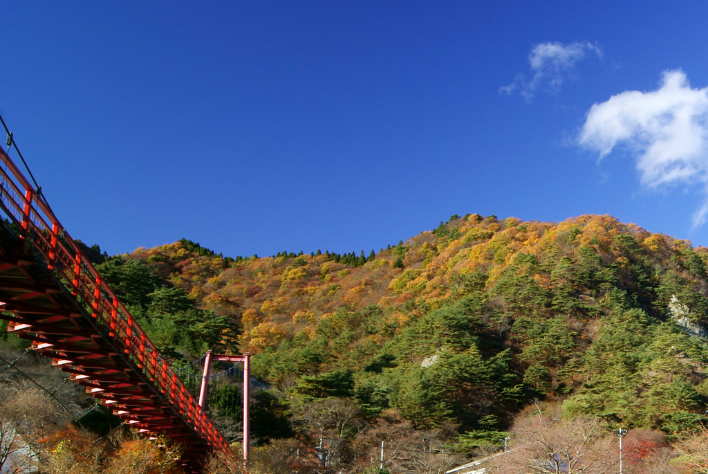 見上げるあゆのつり橋と晩秋の矢祭山