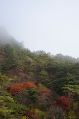 朝霧に包まれる秋の屏風岩