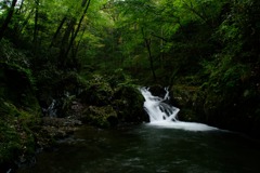 大風川渓谷の小滝