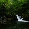 大風川渓谷の小滝