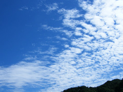 イワシ雲