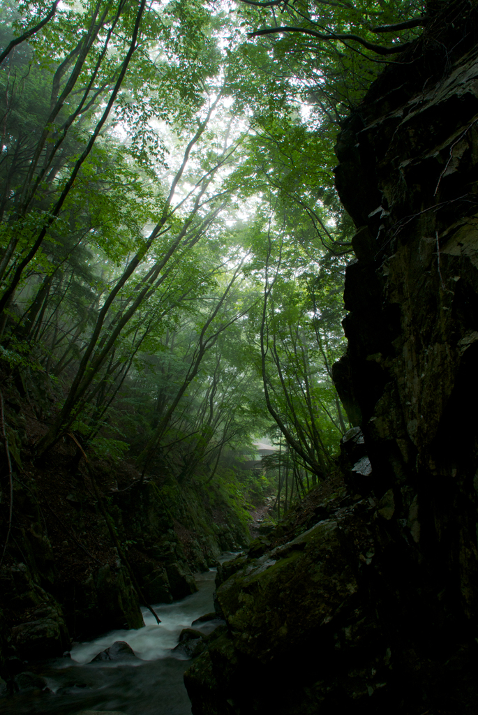 霧の渓谷