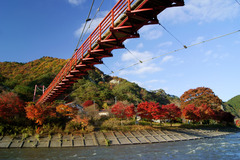 見上げるあゆのつり橋と錦秋の矢祭山・久慈川河畔の紅葉