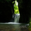 初夏の吉野平の不動滝