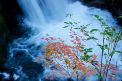 紅葉と青葉と白き流れ