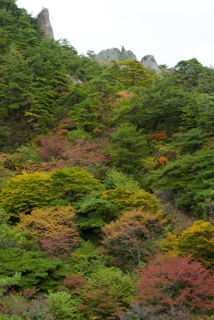 屏風岩と紅葉