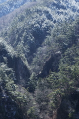 久慈川対岸から望む夢想滝渓谷