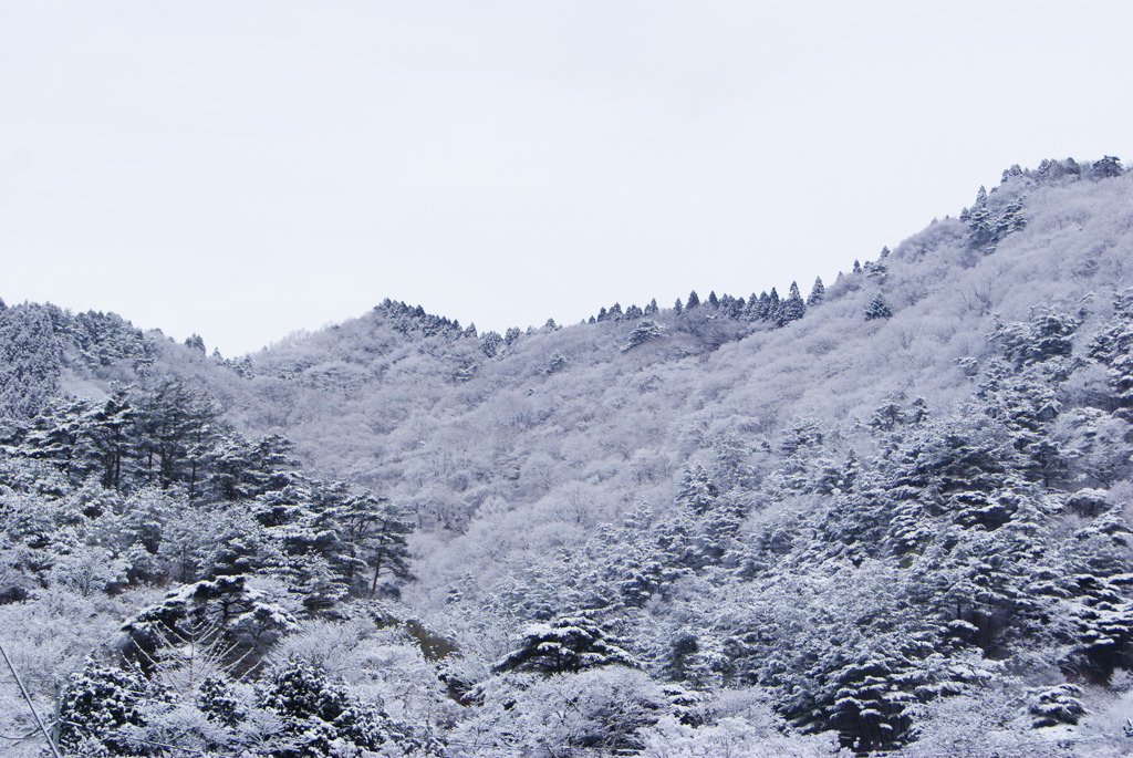 白い矢祭山