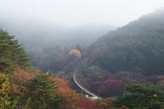 朝霧に包まれる秋の鉄橋