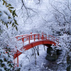 雪の月見橋