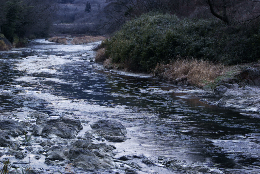 久慈川を流れるシガ