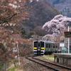 桜の矢祭山駅と水郡線