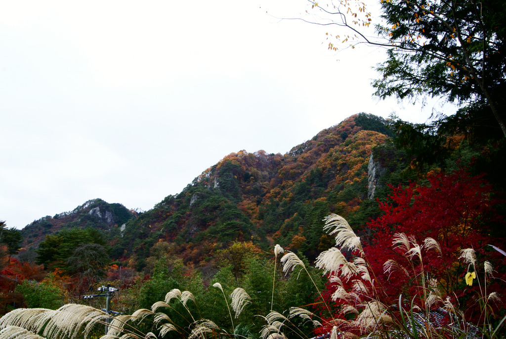 トンネル抜けて矢祭山の紅葉