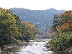 色づき始めた久慈川河畔