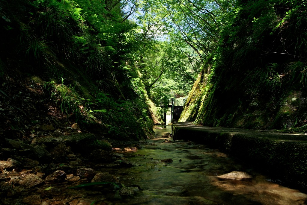 初夏の夢想滝川