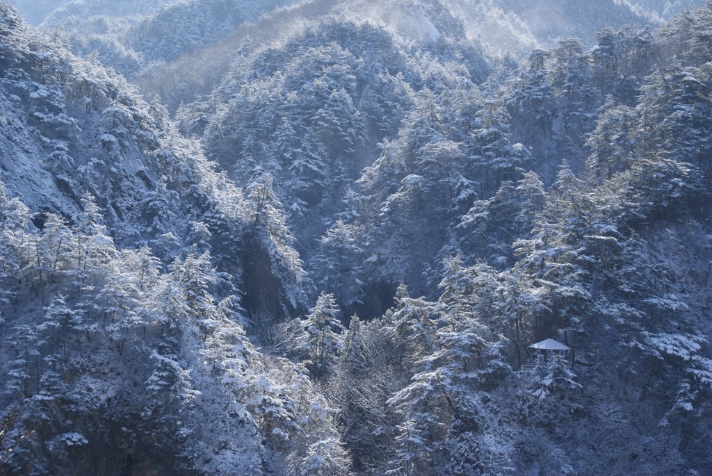 雪の渓谷