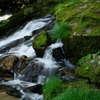苔むす岩と渓流
