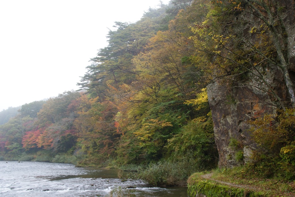 秋の朝の久慈川