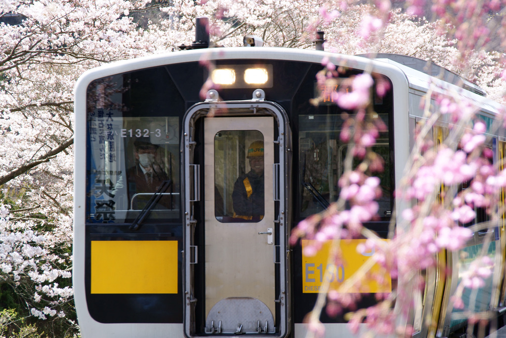 春爛漫の矢祭山駅を発車する水郡線