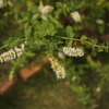 P8150980