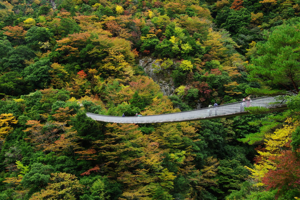 五家荘の紅葉