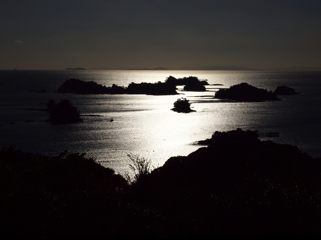 輝く海